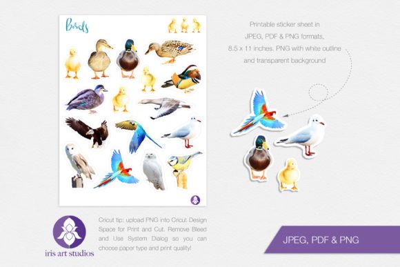 Download Printable Birds Stickers, Realistic Bird - Print Collection
