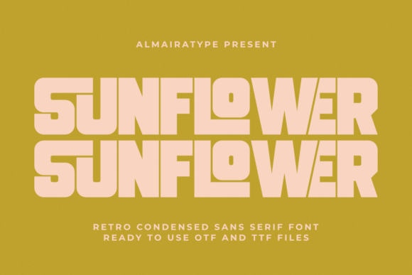Download Sunflower - Premium Resources