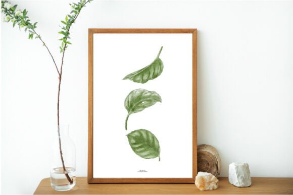 Download Green Leaves Print, Printable Art, Leaf - Print Collection