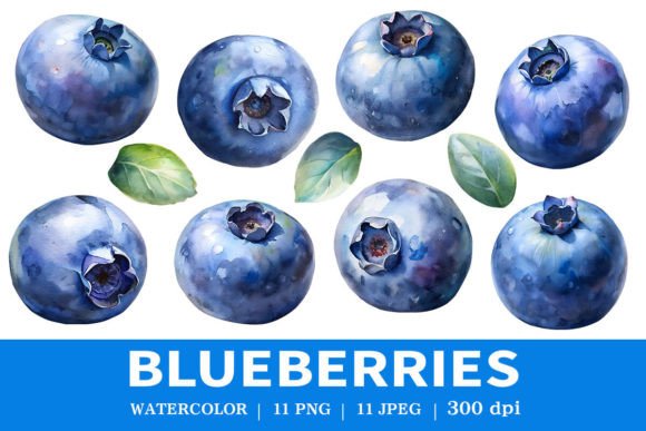 Download Fresh Blueberries Watercolor Clipart - Blueberries Collection