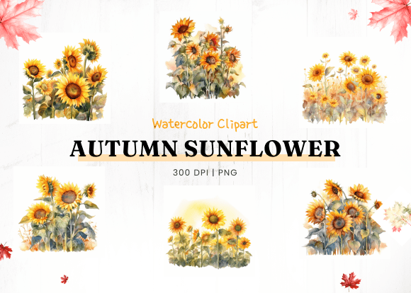 Download Autumn Sunflower Watercolor Clipart - Autumn Collection